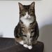 Julie Blakeley - Facebook