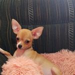 Julie Tiongson Blas - @ajblas - Instagram