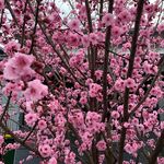 Julie Blyfield - @julieblyfield - Instagram