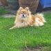 Julie Blythin - Facebook