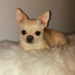 Julie bolduc - @julieannebolduccousineau - Instagram