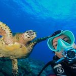 JULIÊ BORGES - @julieborgesl - Instagram