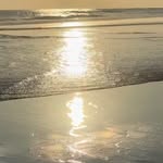 Julie Botha - @mrs_julie_b - Instagram