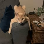 Julie Carlson Bottorff - @bottorffjulie - Instagram