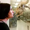 Julie Bourque - @julie.bourque3 - TikTok