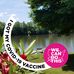 Julie Brasher - Facebook