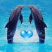 Julie Brazier - Facebook