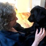 Julie Brazier - @brazier.bunch - Instagram