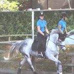 Julie Brazier - @brazier_julie - Instagram