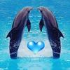 juliebrazier737 - @juliebrazier737 - TikTok
