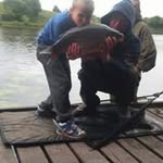 Julie Brindle - @juliebrindle - Instagram