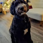Julie Broad - @julie.broad600 - Instagram