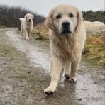 Julie Broad - Facebook