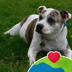 Julie Broad - Facebook