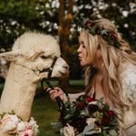 Julie Broadbent Photography - @juliebroadbentphotography - Instagram