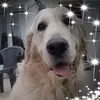 Julie Bruno - @juliebruno6 - TikTok