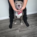 Julie Bug - Facebook