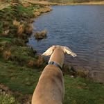 Julie Burchell - @julie_burchell - Instagram