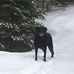 Julie Burroughs - Facebook