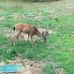 Julie Burroughs - Facebook