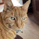 Julie Burroughs - @julie.burroughs.65 - Instagram