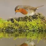 Julie Burrows - @burrows1714 - Instagram