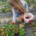 Julie Burrows - Facebook
