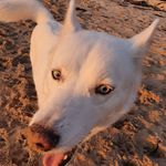 Julie Burt - @jaburt79 - Instagram