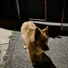 Julie bushell - @julie.bushell4 - TikTok