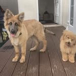 Julie Bushell - @bushell_julie - Instagram