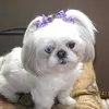 Julie Bybee Hylton - @33481817793 - TikTok
