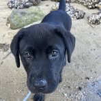 Julie Bye - Facebook