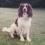 Julie bye - @julie_montydog14 - Instagram