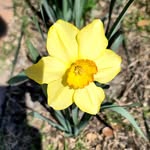 Julie Calhoun - @juliecalhoun66 - Instagram
