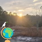 Julie Calhoun - Facebook