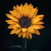 juliebutlercane - @julie.butler.cane - TikTok