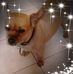 Julia Maria Capaldi - Facebook
