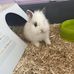 Julie Capaldi - Facebook