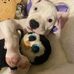 Julie Capizzi - Facebook