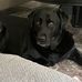 Julie Stearns Caplinger - Facebook