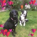 Julie Catlin - @catlinjulie - Instagram