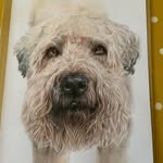 Julie Catling - @catlingjulie - Instagram