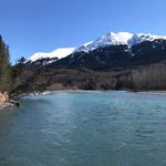 Julie Chaffee - @mommabear8355 - Instagram