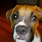 Julie Chaffee - @julie.chaffee.14 - Instagram