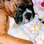 Julie Chaffee - Facebook