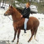 Julie Chaffee - @harmonyhorsestable - Instagram