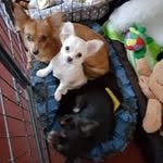Julie Chaplin - @julie.chaplin - Instagram