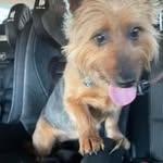 Julie Chaplin - @juliechaplin34 - Instagram
