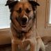 Julie Billman Cheesman - Facebook