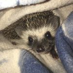 Julie R Cherry - @julie_cherry._ - Instagram